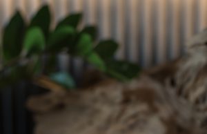 Experience Philippines’ Top Bars with MO BAR’s Nomadic Cocktail Odyssey