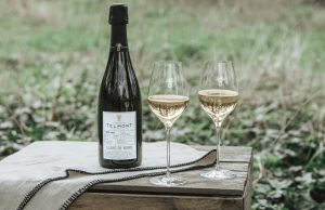 Telmont unveils its environmental ambitions “In Nomine Terrae” – in the name of Mother Nature – and launches its new range in Singapore