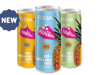 Rida Fruits offers MD2 pineapple juice with pulp & boba, yoghurt pops
