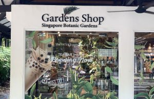 ‘Teas the Season to Sparkle’ with The 1872 Clipper Tea Co.