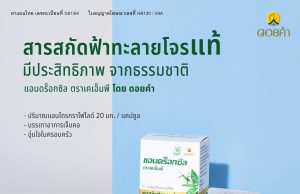 Doi Kham offers king of bitters or fah talai jone