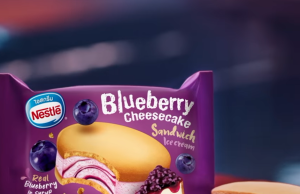 New Nestle Blueberry Cheesecake Sandwich Ice Cream