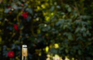 Create easy and festive cocktails this Chinese New Year with Fever-Tree’s new Italian Blood Orange Soda