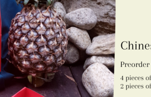 GentleFoods launches easy to eat Pureed Pineapple Tarts for elderly and dysphagia patients