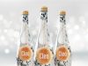 Tanobel Food launches Cleo bottled water in premium glass packaging