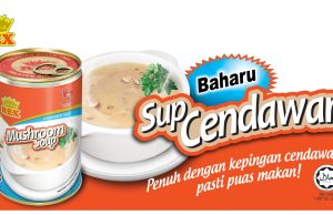 Rex Mushroom Soup is a new canned soup player in Malaysia