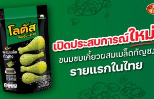 SNNP launches Lotus Drumstick with Hemp Seed Flour Seaweed Flavor