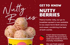 Let Your Taste Buds Soar With Merry Ice Cream’s New Over-The-Top Nutty Berries Flavour!