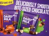 Bite and Relax Throughout the Day with Cadbury Dairy Milk BITES