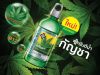 Osotspa Yanhee Beverage launches Yanhee Cannabis Water
