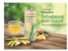 Revel In a Great Refreshing Taste from Nature The Brand New F&N SEASONS Botanicals Lemongrass Ginger