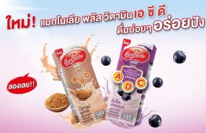 F&N has two new flavoured UHT milk featuring blackcurrant and brown sugar