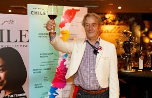 Take a Journey through Chilean Wine Country  with  Gallo Wine Bar