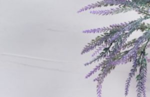 The Coffee Bean & Tea Leaf® Malaysia Celebrates 25th Birthday with Commemorative, Purple-Themed Beverage and Menu