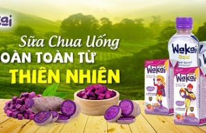 Vietnam’s Long Hung launches Wakai plant-based yogurt from purple sweet potato