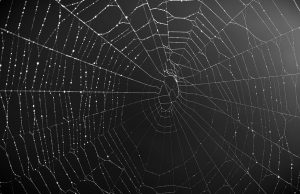 Australia, Singapore log most number of adverts on the Darknet in APAC