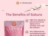 Showcasing CY Beverages Sakura Powder perfect for any food and drink applications