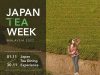 An Experiential Journey into the Wonders of Japanese Tea