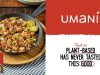 WTH Foods launches Umani frozen plant-based foods in the Philippines