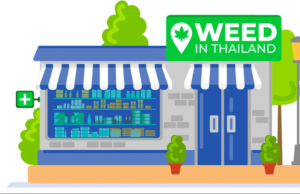 WEED.in.th is a new site that makes it easier to find cannabis-related stores in Thailand