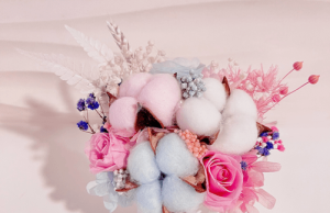 Championing Sustainability Efforts with NEX and Plaza Singapura