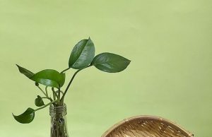 Light & Delicious Plant-based Raya Delights from yumeat™