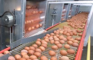 CPF pledges to manage food loss and waste sustainably.