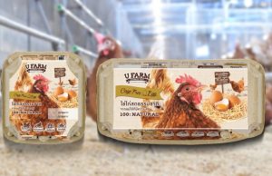 CP Foods Produces Asia’s First Carbon-Neutral Cage-Free Egg, Promoting Responsible Consumption of Animal-Friendly and Eco-Friendly Eggs