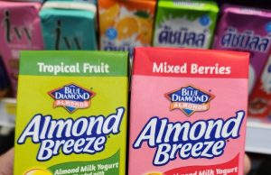 Blue Diamond expands into almond milk yogurt drink in Thailand