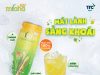 TTC AgriS launches carbonated sugarcane drink Miáha Gaz