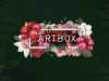 The Wait is Over: Artbox Malaysia Returns After 4 Years!