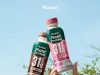 Plantae Bottle On The Go makes plant-based protein accessible through 7-Eleven