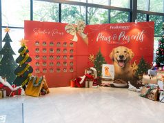 ProBalance Hosted Malaysia’s First Winter Wonderland Christmas Party for Dog Owners and Their Furry Friends