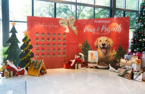 ProBalance Hosted Malaysia’s First Winter Wonderland Christmas Party for Dog Owners and Their Furry Friends