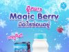 Dutch Mill Unveils Winter Wonderland: Limited Edition Magic Berry Yogurt Arrives