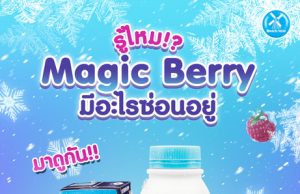 Dutch Mill Unveils Winter Wonderland: Limited Edition Magic Berry Yogurt Arrives