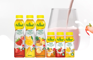 New Fernleaf Greek-style Yogurt Drink and Fernleaf Multigrain+