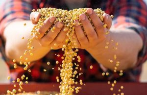 Bunge and CP Foods Pioneer Greater Transparency in Shipments of Deforestation-Free Soybeans Using Blockchain Technology