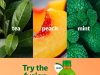 Fuze Tea debuts new peach mint flavour in Singapore