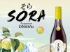 Japanese-taste Sora Umeshu now available at Lotus’s, Donki Mall and Makro