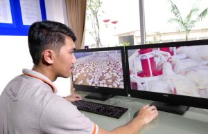 CP Foods Employs Cutting-Edge Disease Surveillance Ensures Premium Chicken Safety