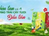Trí Việt Phát Foods launches fruit tea with fresh toppings