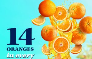 Expert Quality Shines Through: Sunkist Delivers Pure Citrus Goodness!