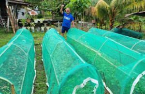 HEINEKEN Cares: Empowering Sabahans for a Better Future