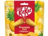 Usher in the ‘ong’ with KitKat Pineapple Tart