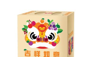 Usher in the festive spirit of Chinese New Year with the limited-edition F&N 24 Cans Variety Pack