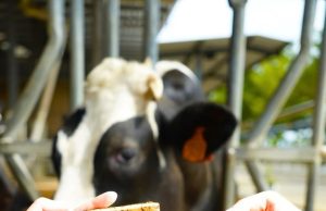 Farm Fresh Butter hits shelves, to roll out more consumer-focused products