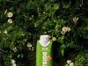 OATSIDE Matcha lands in Singapore