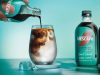Nestlé introduces Nescafé Espresso Concentrate in Singapore