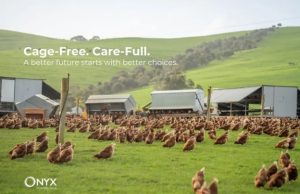 Major Hotel Group Commits to Cage-Free Eggs, as Southeast Asia’s Hospitality Sector Shifts Toward Higher Animal Welfare Standards